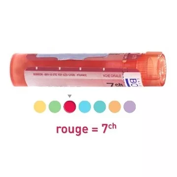 RUBIA TINCTORIA 7CH Granules Boiron Homéopathie