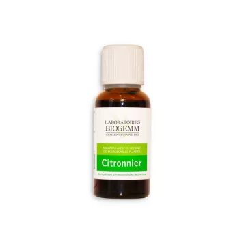 Citronnier Bourgeon Macérat glycériné BIO Biogemm 30ml