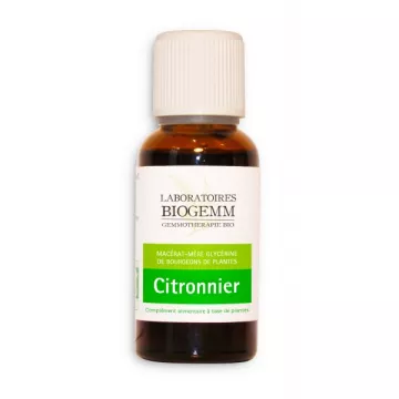 Citronnier Bourgeon Macérat glycériné BIO Biogemm 30ml