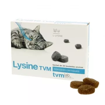 Lysine TVM Dumpling 2 g Doos met 30
