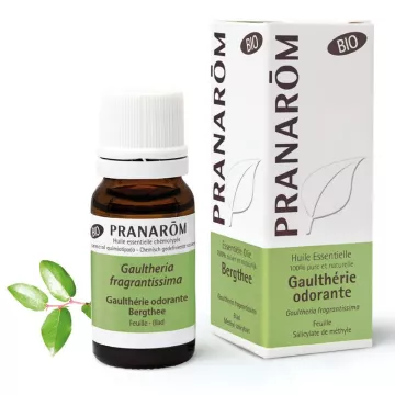 Wintergreen essenziale BIO di olio wintergreen odore Pranarom fragrantissima