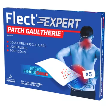 Flect'expert Patch froid & chaud x5 