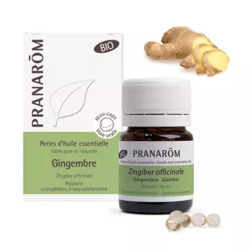 PRANAROM Organic Pearl Ginger Essential Oil B/60
