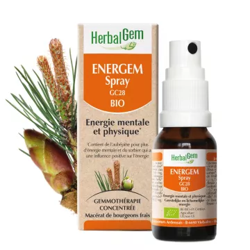 Herbalgem Complèxe Energem Spray GC28 Energia mentale e fisica Bio 15 ml*
