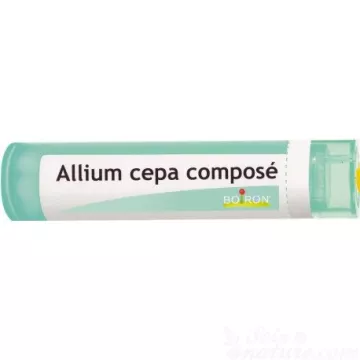 Allium cepa Verbindung Boiron Granulat Homöopathie