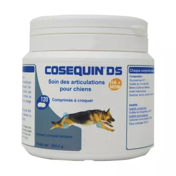 Cosequin DS gemeinsame Komfort DOG 120 kapseln