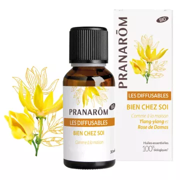 Pranarom Diffusion Bio Bien chez soi 30ml