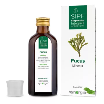 Synergia SIPF Bio Fucus Integrale Suspension der frischen Pflanze 100 ml