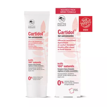 PhytoResearch Cartidol Überkonzentriertes Gel Gelenke 120 ml 
