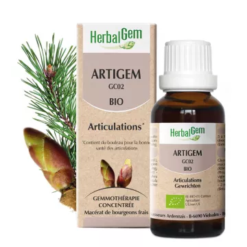 Herbalgem Artigem GC02 Bio-Gelenk-Komplex 30 ml