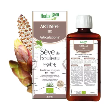 Artiseve Organic HerbalGem березовый сок 250 мл