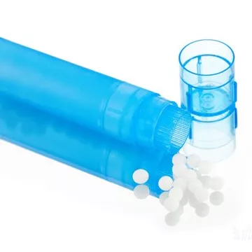ANGELICA SYLVESTRIS pellets Boiron homeopathy
