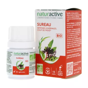 Naturactive Holunder Bio 30 Kapseln