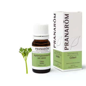 Celery Essential Oil Pranarom Apium Graveolens