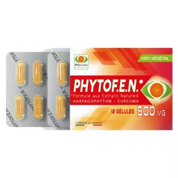 PHYTOF.EN Extrato natural 500 mg 12 cápsulas