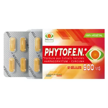 PHYTOF.EN Extrato natural 500 mg 12 cápsulas