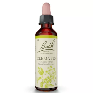 Бах в исходном Цветок средства 20ml Ломонос CLEMATIS