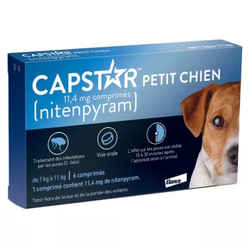 Capstar Petit chien 6 Comprimés Elanco