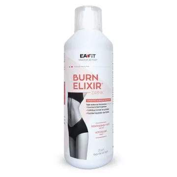 Eafit Burn Elixir Drink Chá Verde com Especiarias 500 ml