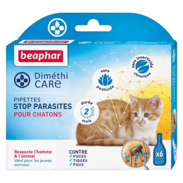 Beaphar Dimethicare 6 pipetas de parada de parasitas para gatinhos