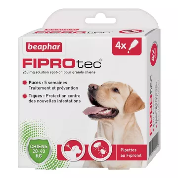 Beaphar Fiprotec 4 pipetas 268 mg spot-on para cães grandes 20-40 kg