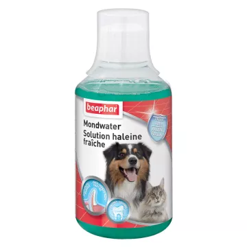 Beaphar Fresh Breath Solution para cães e gatos 250 ml