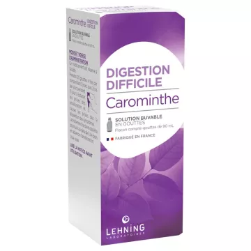 CAROMINTHE digestion difficile SOLUTION BUVABLE 90ML LEHNING