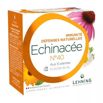 Echinacea Complex N ° 40 Imunidade LEHNING Drops 30ml