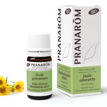 Organic essential oil Fragrant Inula Inula graveolens Pranarom 5ml
