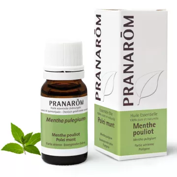 Pranarôm essential oil 10ml Pennyroyal