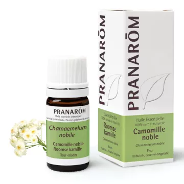 Pranarom Aceite esencial de manzanilla 5ml Noble