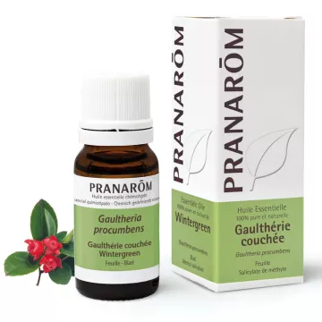 PRANAROM ESSENTIËLE 10ml Wintergreen LIGGEN GAULTHERIA Procumbens