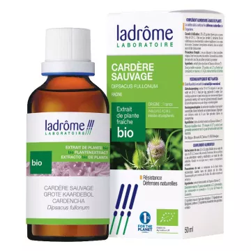 Ladrôme Extratos orgânicos frescos de plantas de cardo 50ml