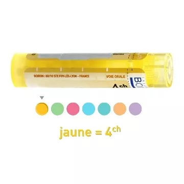 4CH Granules Tube HOMEOPATHIE BOIRON