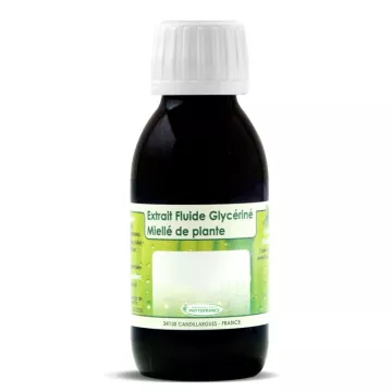 BOULEAU BLANC BIO Extrait Fluide Glycériné PHYTOFRANCE