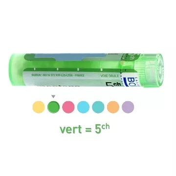 Gránulos Tube HAMAMELIS 5CH 4CH 9CH 15CH 30CH 7CH homéopathie Boiron