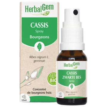 Herbalgem Blackcurrant Bud Spray Organic 15 ml