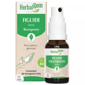 Herbalgem Fico Spray 15ml