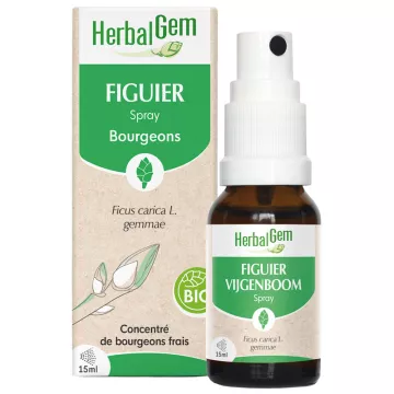 Herbalgem Vijgenboom Spray 15ml