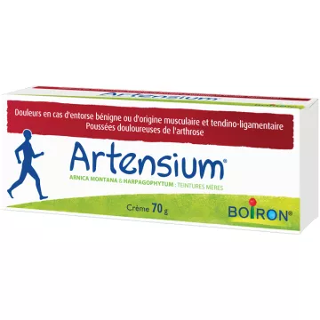 Boiron Artensium Gelenk-Muskelschmerz-Salbe