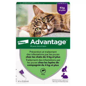 Advantage 80 pipette antipulci Cat & Rabbit