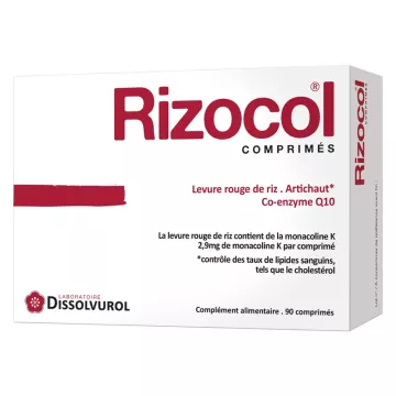 Rizocol Anti Cholestérol Levure Rouge De Riz 90 Comprimés