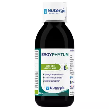 Ergyphytum Nutergia Confort Articulaire 250 ml