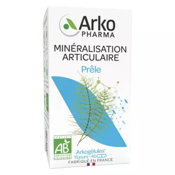 Arkogélules Prêle Reminéralisation Bio 45