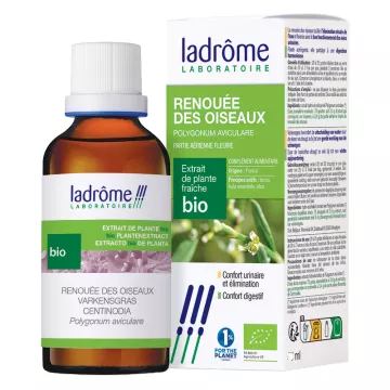 Bio-Ladrôme-Knöterich-Extrakte aus frischen Pflanzen 50 ml