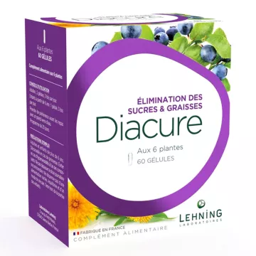 Lehning Diacure Élimination Sucres et Graisses 60 gélules