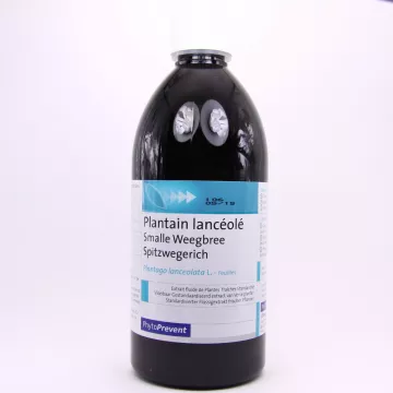 EPS Weegbree lancetvormig Pileje Fluid-extract