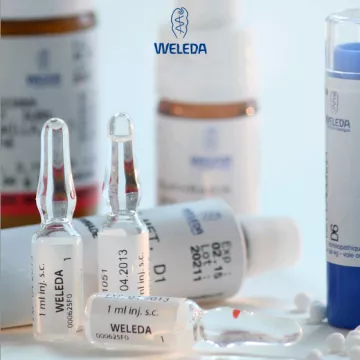 Diluição do complexo Weleda W146 / grânulos homeopáticos