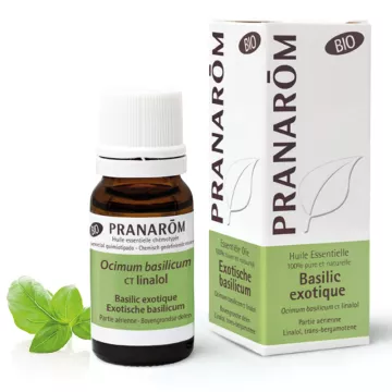 Organic essencial Basil 10ml de óleo exótico Pranarom