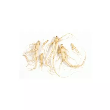 EPS Ginseng Pileje vloeibaar wortelextract